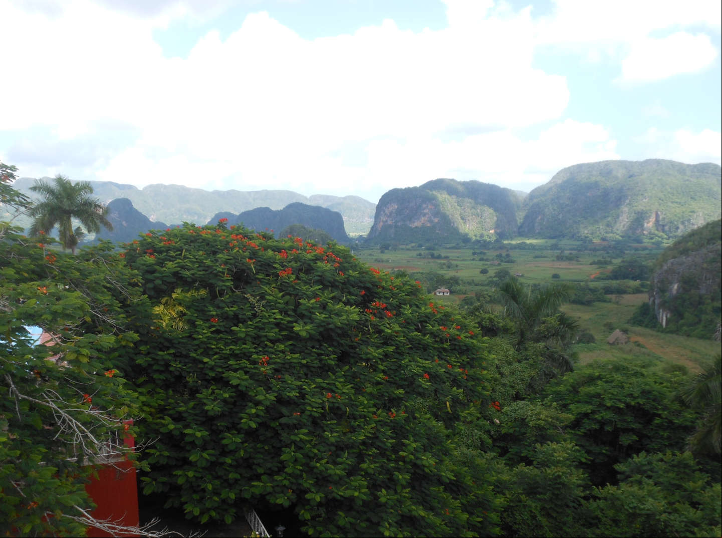 El Valle de Viñales Monumento Nacional de Cuba y Paisaje Cultural de la Humanidad El Valle de Viñales Monumento Nacional de Cuba y Paisaje Cultural de la Humanidad