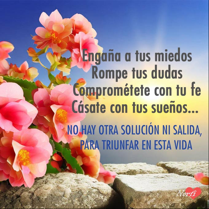 Engaña a tus miedos. Rompe tus dudas. Comprométete con tu fe. Cásate con tus sueños... No hay otra solución ni salida, para triunfar en esta vida Flores en muro de piedra al amanecer
