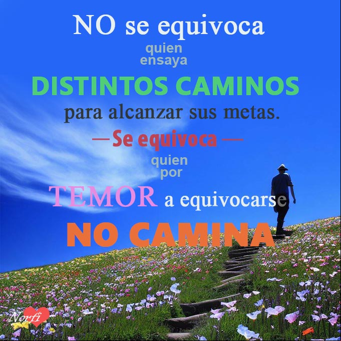 No se equivoca quien ensaya distintos caminos para alcanzar sus metas. Se equivoca quien por temor a equivocarse no camina Persona detenida despues de subir una colina