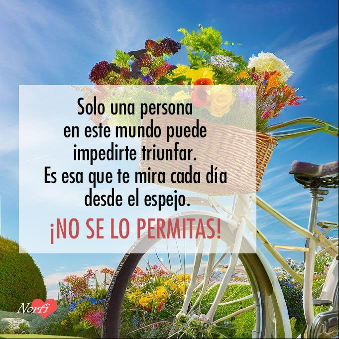 Solo una persona en este mundo puede impedirte triunfar. Es esa que te mira cada día desde el espejo. ¡No se lo permitas! #MensajesAliento Bicicleta con flores en la cesta bajo el cielo azul