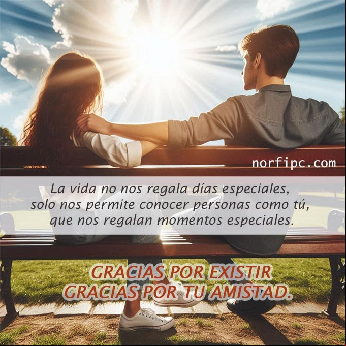 La vida no nos regala días especiales, solo nos permite conocer personas como tú, que nos regalan momentos especiales Dos amigos conversando en un parque