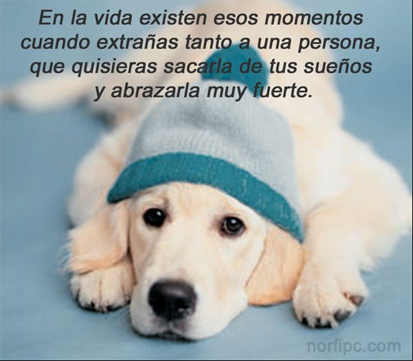 Imagen la amistad por siempre Imagen la amistad por siempre