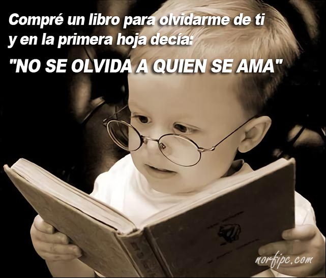 Compre un libro para olvidarme de ti y en la primera hoja decía: NO SE OLVIDA A QUIEN SE AMA Imagen de amor que expresa que no se olvida a quien se ama