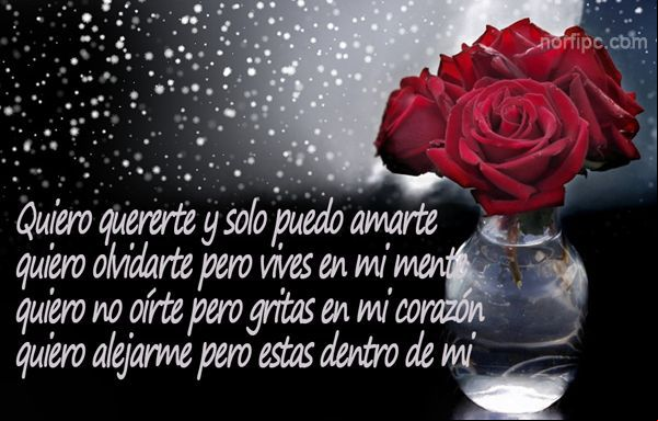Poema de amor. Quiero olvidarte pero vives en mi mente Poema de amor. Quiero olvidarte pero vives en mi mente