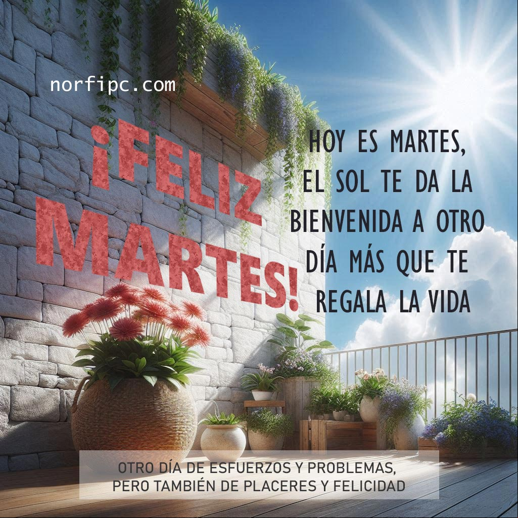 Hoy es martes, el sol te da la bienvenida a otro día más que te regala la vida. Otro día de esfuerzos y problemas, pero también de placeres y felicidad Muro de piedra, flores y rayos del sol