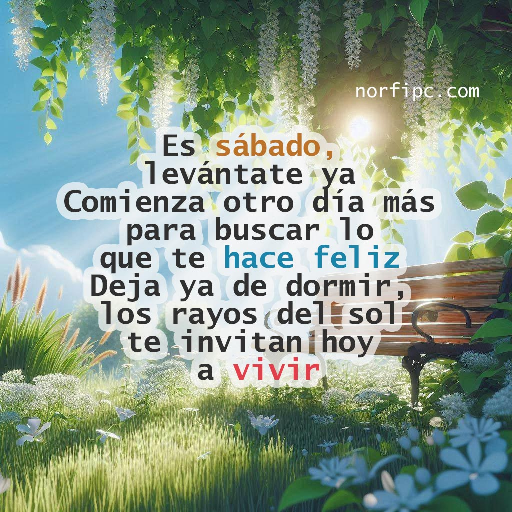 Es sábado, levántate ya, comienza otro día más para buscar lo que te hace feliz, deja ya de dormir, los rayos del sol te invitan hoy a vivir Banco de un parque, flores, sol de la mañana y el cielo azul