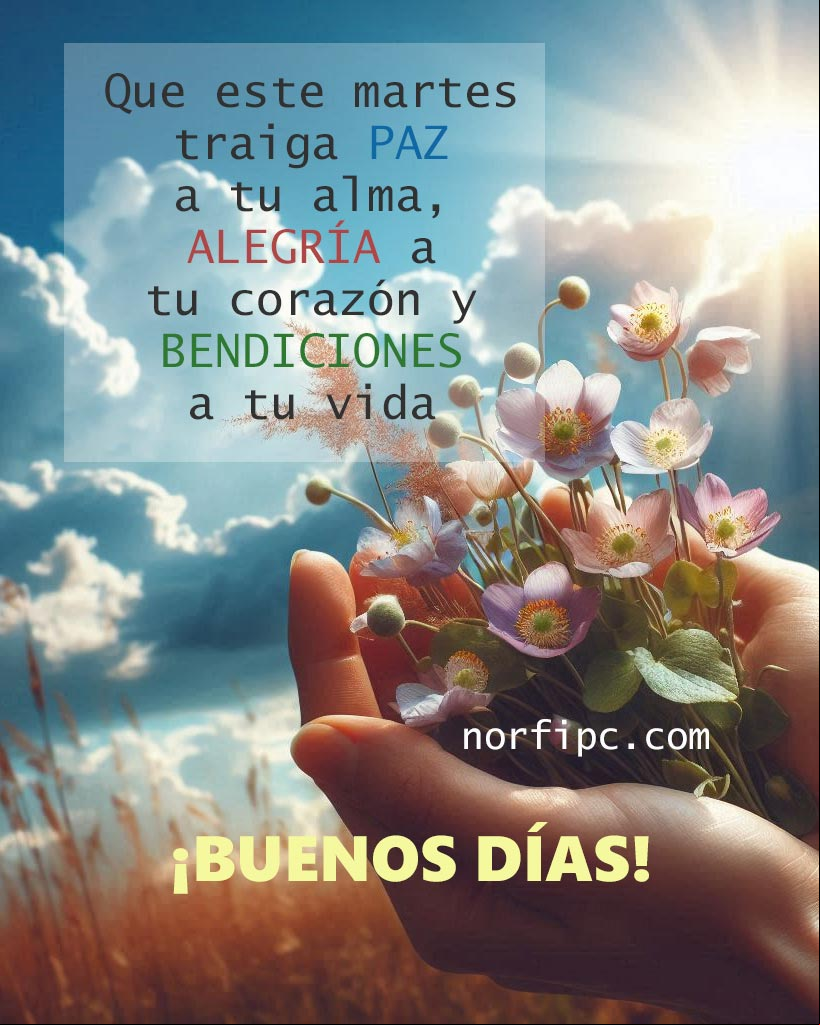 Que este martes traiga paz a tu alma, alegría a tu corazón y bendiciones a tu vida. ¡Buenos días! Mano sosteniendo pequeñas flores