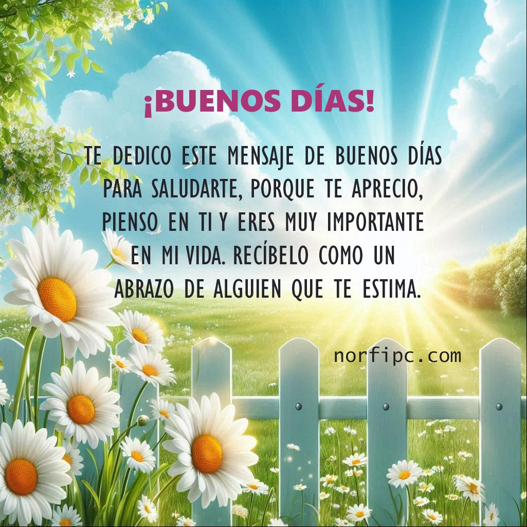 Te dedico este mensaje de buenos días para saludarte, porque te aprecio, pienso en ti y eres muy importante en mi vida. Recíbelo como un abrazo de alguien que te estima Paisaje con flores de margarita en el campo al amanecer