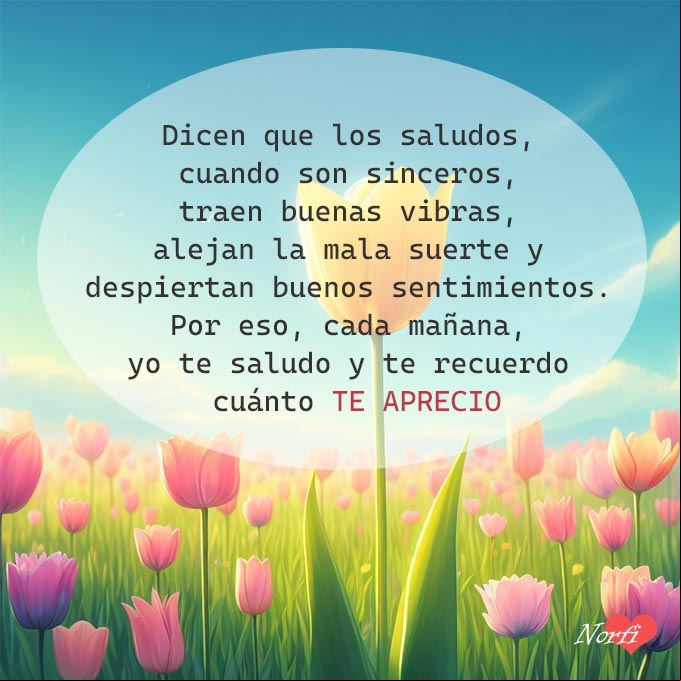 Dicen que los saludos, cuando son sinceros, traen buenas vibras, alejan la mala suerte y despiertan buenos sentimientos. Por eso, cada mañana, yo te saludo y te recuerdo cuánto te aprecio Campo de tulipanes florecidos bajo el cielo azul