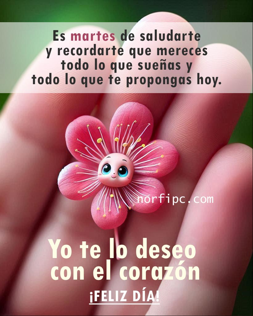 Es martes de saludarte y recordarte que mereces todo lo que sueñas y todo lo que te propongas. Yo te lo deseo con el corazón. ¡Feliz día! Mano abierta con una pequeña flor y un mensaje emotivo