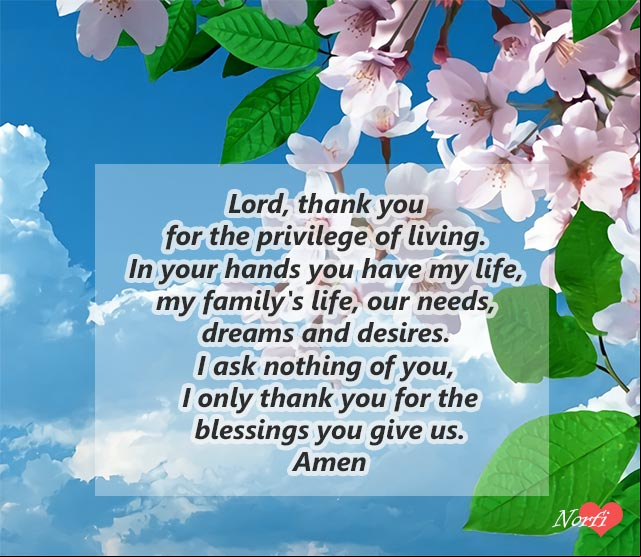 Lord, thank you for the privilege of living. In your hands you have my life, my family's life, our needs, dreams and desires. I ask nothing of you, I only thank you for the blessings you give us. Amen God, thank you for the blessings you give us