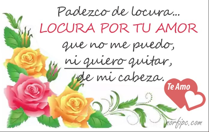 Siento locura por tu amor