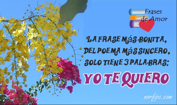 Frases de un amor incondicional, platónico y espiritual