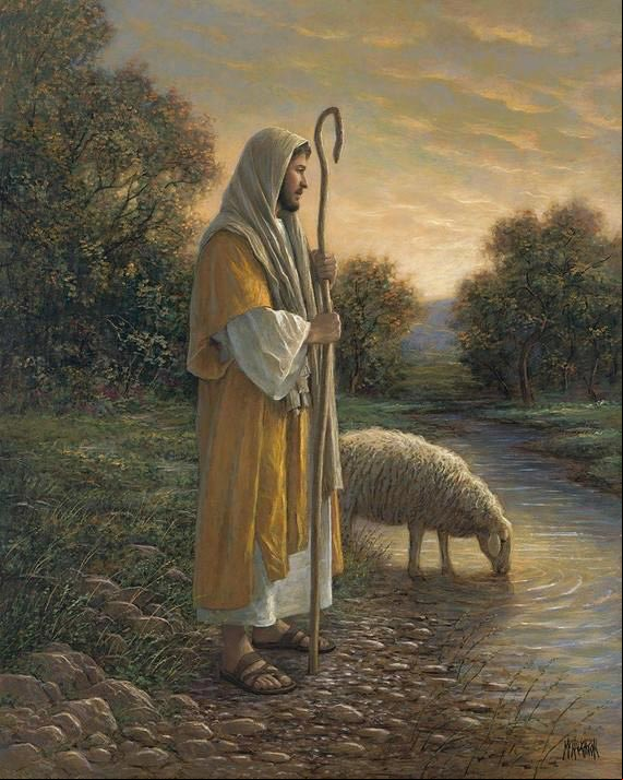 Jesús cuidando sus ovejas. #ElBuenPastor Jesús cuidando sus ovejas
