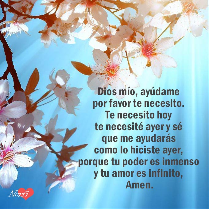 Dios mío, ayúdame por favor te necesito. Te necesito hoy te necesité ayer y se que me ayudarás como lo hiciste ayer, porque tu poder es inmenso y tu amor es infinito, Amen Flores de un árbol al amanecer y oración a Dios