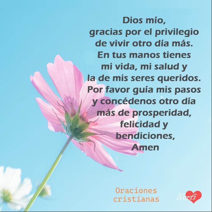 Dios mío, gracias por el privilegio de vivir otro día más. En tus manos tienes mi vida, mi salud y la de mis seres queridos. Por favor guía nuestros pasos y concédenos otro día de prosperidad, felicidad y bendiciones Flor linda bajo el cielo azul