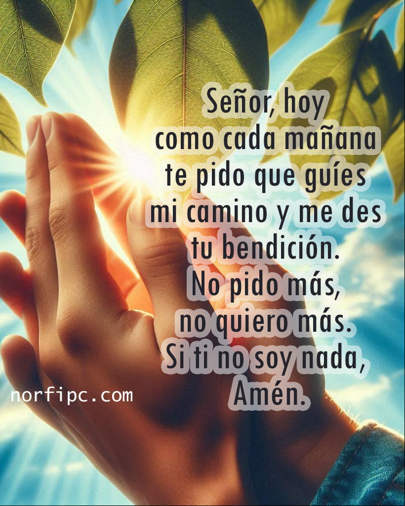 Señor, hoy como cada mañana de mi vida te pido que guíes mi camino y me des tu bendición. No pido más, no quiero más. Si ti no soy nada, Amén Manos orando al amanecer