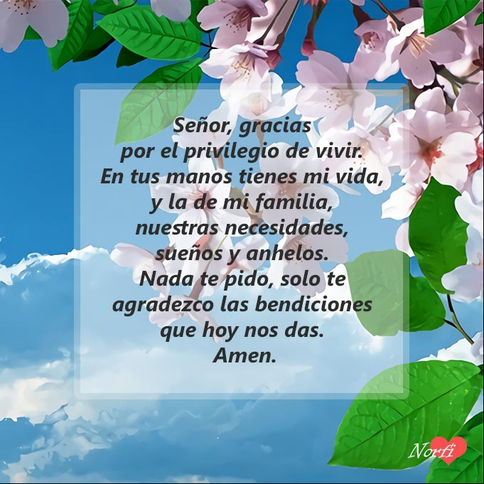 Señor, gracias por el privilegio de vivir. En tus manos tienes mi vida, la de mi familia, nuestras necesidades, sueños y anhelos. Nada te pido, solo te agradezco las bendiciones que nos das. Amen Flores de la planta del Cerezo, Prunus × yedoensis Matsum