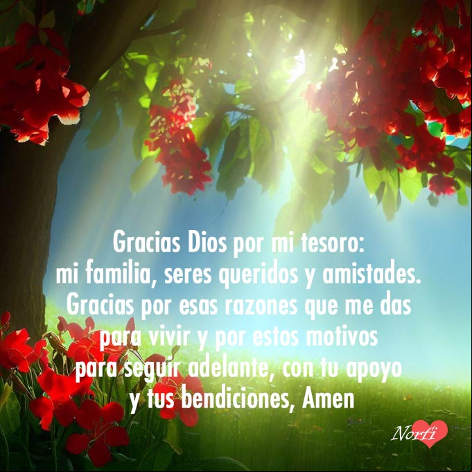 Gracias Dios por mi tesoro, que es mi familia, mis seres queridos y amistades. Gracias por esas razones que me das para vivir y por estos motivos para seguir adelante, con tu apoyo y tus bendiciones, Amen Flores rojas bajo un árbol al amanecer con oración a Dios