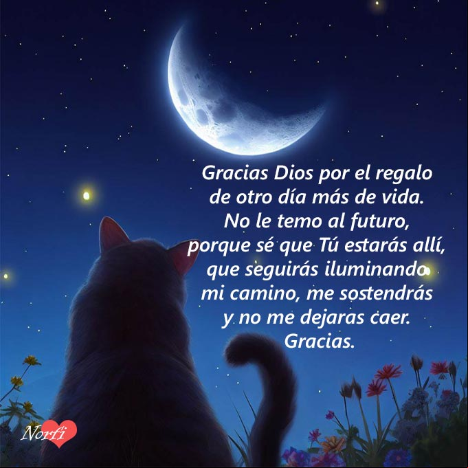Gracias Dios por el regalo de otro día más de vida. No le temo al futuro, porque sé que Tú estarás allí, que seguirás iluminando mi camino, me sostendrás y no me dejaras caer. Gracias. #oraciones Noche estrellada con Luna nueva, gato y flores con oracion a Dios