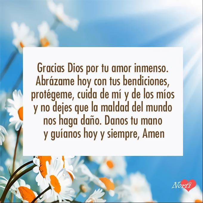 Gracias Dios por tu amor inmenso. Abrázame hoy con tus bendiciones, protégeme, cuida de mí y de los míos y no dejes que la maldad del mundo nos haga daño. Danos tu mano y guíanos hoy y siempre, Amen Flores margaritas bajo el cielo azul y los rayos de sol al amanecer