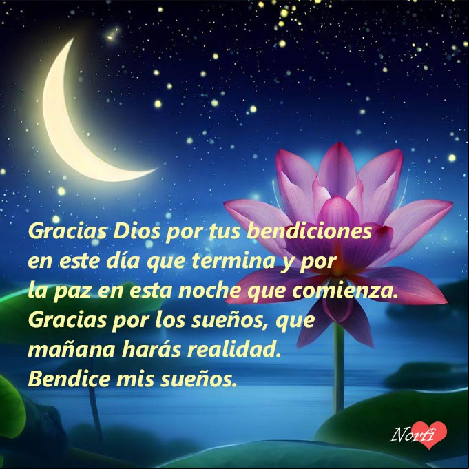 Gracias Dios por tus bendiciones en este día que termina y por la paz en esta noche que comienza. Gracias por los sueños, que mañana harás realidad. Bendice mis sueños Flor de loto en noche de luna y estrellada