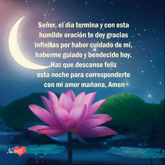 Señor, el día termina y con esta humilde oración te doy gracias infinitas por haber cuidado de mí, haberme guiado y haberme bendecido. Haz que descanse feliz esta noche para corresponderte con mi amor mañana, Amen Flor de loto bajo un cielo estrellado con Luna cresciente
