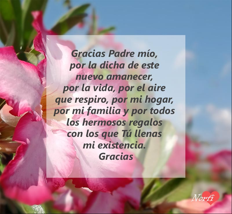 Gracias Padre mío, por la dicha de este nuevo amanecer, por la vida, por el aire que respiro, por mi hogar, por mi familia y por todos los hermosos regalos con los que Tú llenas mi existencia. Gracias Paisaje con flores en primer plano al amanecer con oración de agradecimiento a Dios