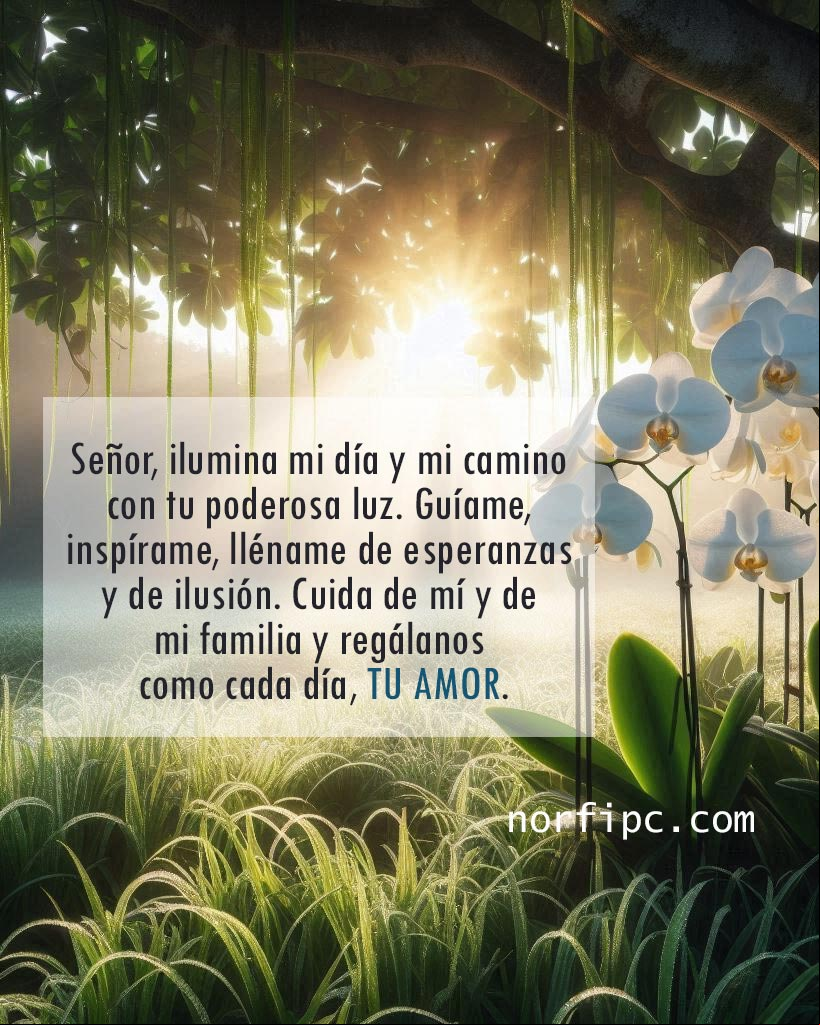 Señor, ilumina mi día y mi camino con tu poderosa luz. Guíame, inspírame, lléname de esperanzas y de ilusión. Cuida de mí y de mi familia y regálanos como cada día, tu amor Flores blancas bajo un árbol al amanecer con oración a Dios