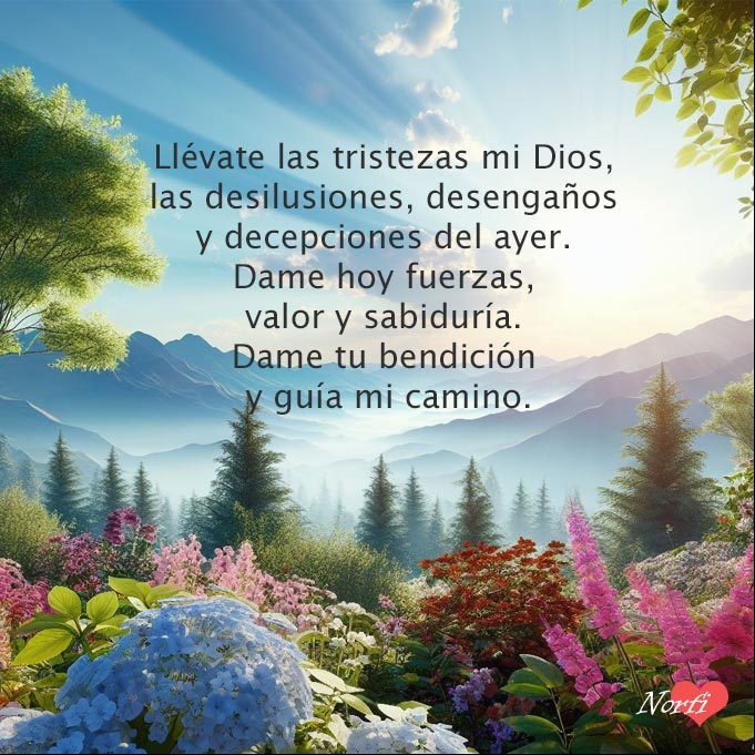 Llévate las tristezas mi Dios, las desilusiones, desengaños y las decepciones de ayer. Dame hoy fuerzas, valor y sabiduría para seguir adelante. Dame tu bendición y guía mi camino Rayos de sol iluminado flores y paisaje en el campo
