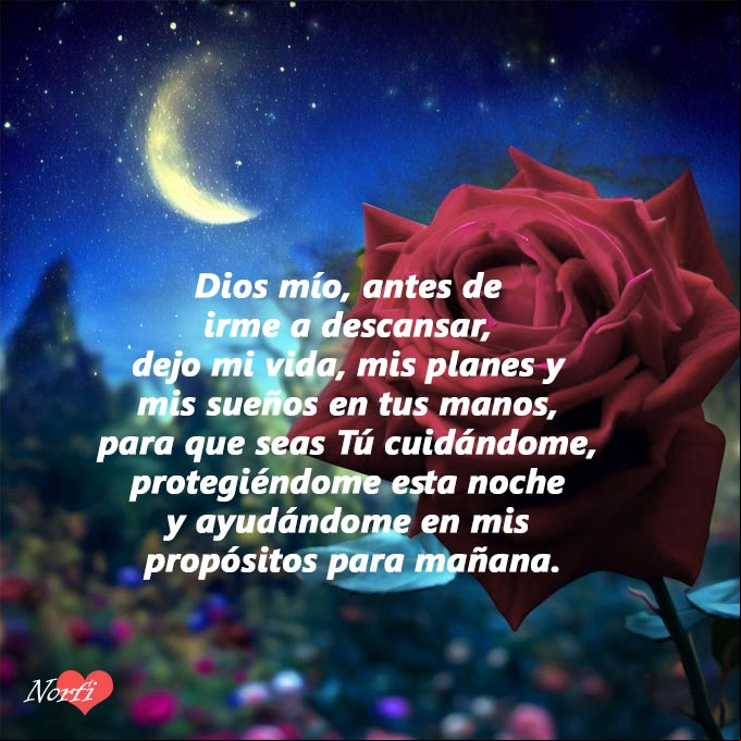Dios mío, antes de irme a descansar, dejo mi vida, mis planes y mis sueños en tus manos, para que seas Tú cuidándome, protegiéndome esta noche y ayudándome en mis propósitos para mañana. #oraciones Rosa roja y jardin bajo la luna y las estrellas