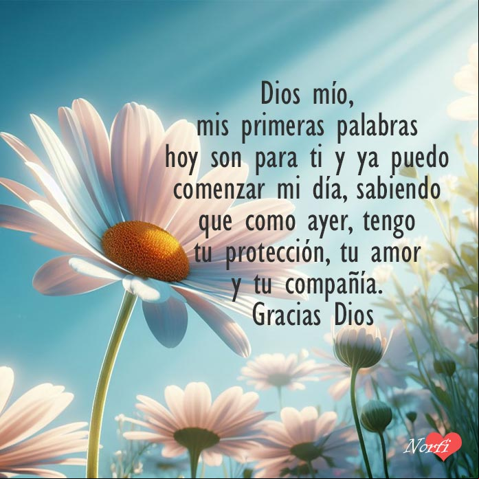 Dios mío, mis primeras palabras hoy son para ti y ya puedo comenzar mi día, sabiendo que como ayer, tengo tu protección, tu amor y tu compañía. Gracias Dios Flores de margarita, rayos de sol filtrandose entre los petalos, cielo azul