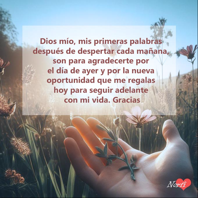 Dios mío, mis primeras palabras después de despertar cada mañana, son para agradecerte por el día de ayer y por la nueva oportunidad que me regalas hoy, para seguir adelante con mi vida. Gracias Mano de una persona abierta entre flores silvestres por la mañana