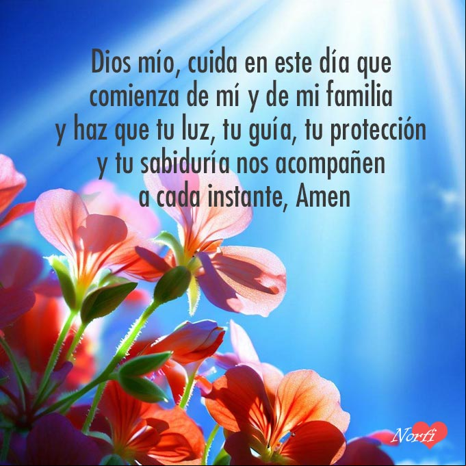 Dios mío, cuida en este día que comienza de mí y de mi familia y haz que tu luz, tu guía, tu protección y tu sabiduría nos acompañen a cada instante. Nada más importante para mí que tu protección, Amen Flores de Geranio al amanecer