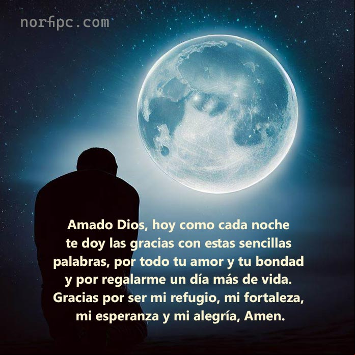 Amado Dios, hoy como cada noche te doy las gracias con estas sencillas palabras, por todo tu amor y tu bondad y por regalarme un día más de vida. Gracias por ser mi refugio, mi fortaleza, mi esperanza y mi alegría, Amen Persona arrodillada frente a la luna orando a Dios
