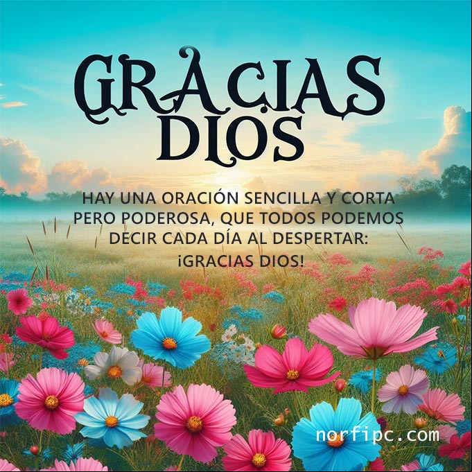 Hay una oración sencilla y corta pero poderosa, que todos podemos decir cada día al despertar: ¡GRACIAS DIOS! Paisaje con flores y cielo azul con la frase: GRACIAS DIOS