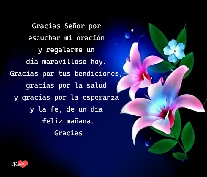 Gracias Señor por escuchar mi oración y regalarme un día maravilloso hoy. Gracias por tus bendiciones, gracias por la salud y gracias por la esperanza y la fe de un día feliz mañana. Gracias Gracias Dios por la esperanza y la fe de un día feliz mañana
