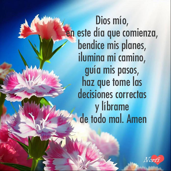 Dios mío, en este día que comienza, bendice mis planes, ilumina mi camino, guía mis pasos, haz que tome las decisiones correctas y líbrame de todo mal. Amen Flores de clavel chino (Dianthus barbatus) al amanecer