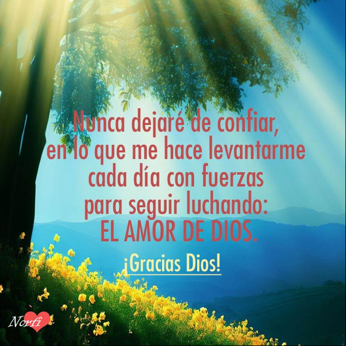 Nunca dejaré de confiar, en lo que me hace levantarme cada día con fuerzas para seguir luchando: el amor de Dios. ¡Gracias Dios! Arbol con flores amarillas al amanecer