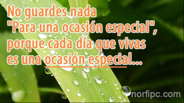 No guardes nada para una ocasión especial, porque cada día que vivas es una ocasión especial Frase cristiana de aliento