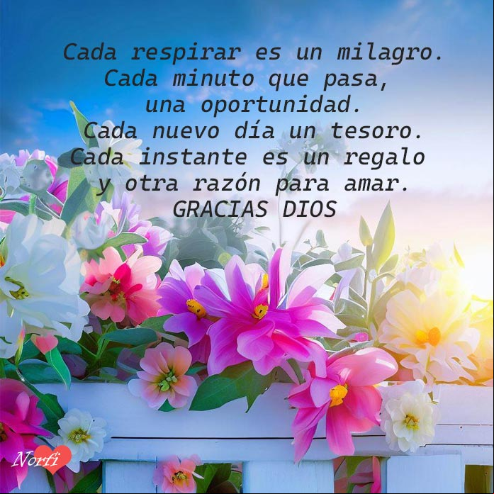 Cada respirar es un milagro. Cada minuto que pasa, una oportunidad. Cada nuevo día un tesoro. Cada instante es un regalo y otra razón para amar. Gracias Dios. Flores en una cerca blanca al amanecer