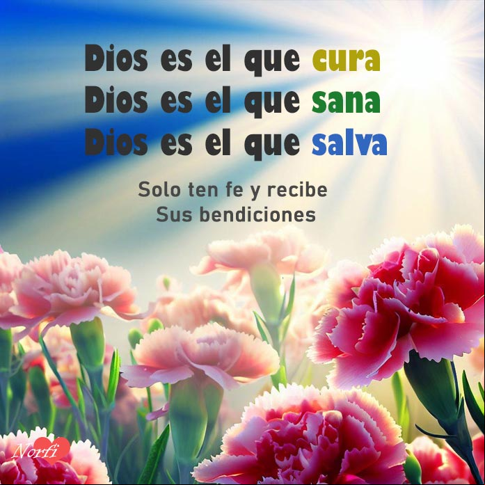 Dios es el que cura. Dios es el que sana. Dios es el que salva. Solo ten fe y comienza a recibir Sus bendiciones Flores bajo el sol del amanecer