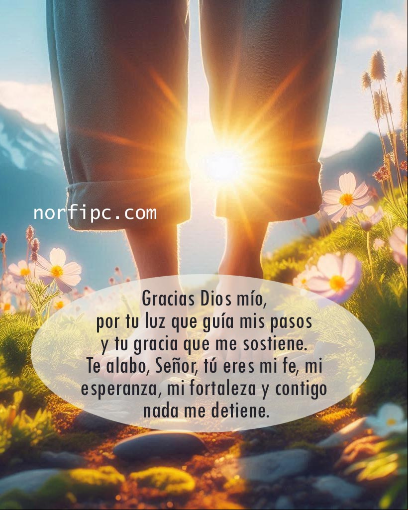 Gracias Dios mío, por tu luz que guía mis pasos y tu gracia que me sostiene. Te alabo, Señor, tú eres mi fe, mi esperanza, mi fortaleza y contigo nada me detiene. Pies de una persona en sendero iluminado con los rayos del sol