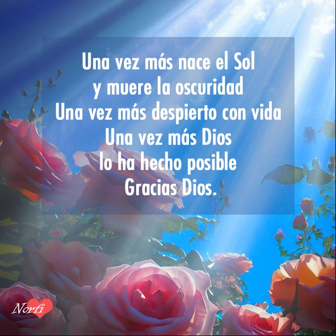 Una vez más nace el Sol y muere la oscuridad. Una vez más despierto con vida. Una vez más Dios lo ha hecho posible. Gracias Dios Rosas bajo rayos del sol al amanecer