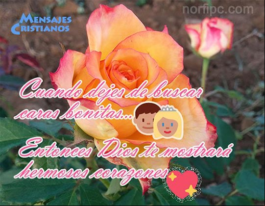 Cuando dejes de buscar caras bonitas, entonces Dios te mostrará hermosos corazones Confesion de un creyente en Dios