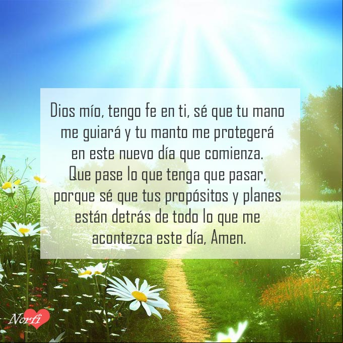 Dios mío, tengo fe en ti, sé que tu mano me guiará y tu manto me protegerá en este nuevo día que comienza. Que pase lo que tenga que pasar, porque sé que tus propósitos y planes están detrás de todo lo que me acontezca este día, Amen Paisaje de pradera al amanecer con flores silvestres y rayos de sol