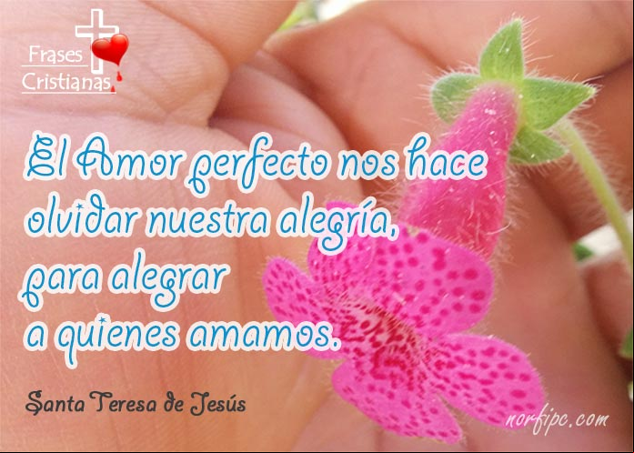 Foto con frase de Santa Teresa de Jesús sobre el amor cristiano