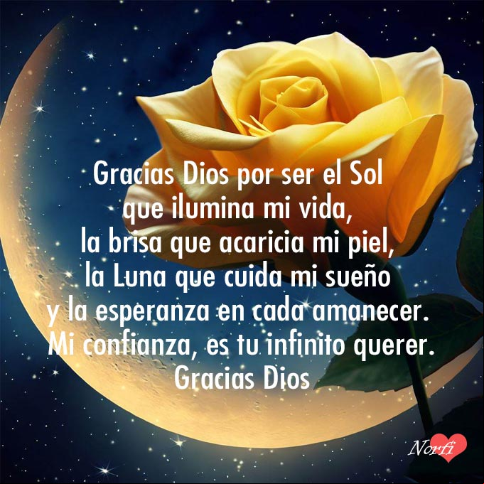 Gracias Dios por ser el Sol que ilumina mi vida, la brisa que acaricia mi piel, la Luna que cuida mi sueño y la esperanza en cada amanecer. Mi confianza, es tu infinito querer Rosa amarilla, de fondo la luna y cielo estrellado