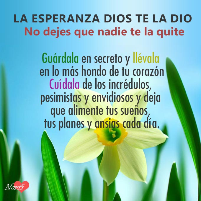La esperanza Dios te la dio, no dejes que nadie te la quite. Guárdala en secreto y llévala en lo más hondo de tu corazón. Cuídala de los incrédulos, pesimistas y envidiosos y deja que alimente tus sueños, tus planes y ansias cada día Flor del Narciso, flor de la esperanza bajo el cielo azul