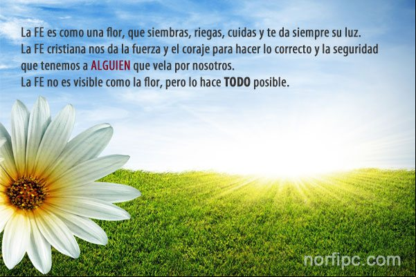 La FE es como una flor, que siembras, riegas, cuidas y te da siempre su luz. Frase cristiana: La FE es como una flor, que siembras, riegas, cuidas y te da siempre su luz